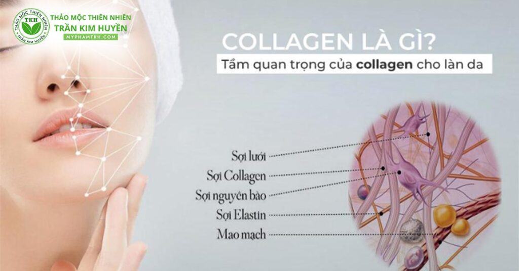 Serum tăng sinh collagen cho làn da lão hóa